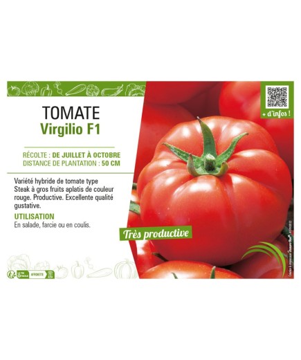 TOMATE VIRGILIO F1