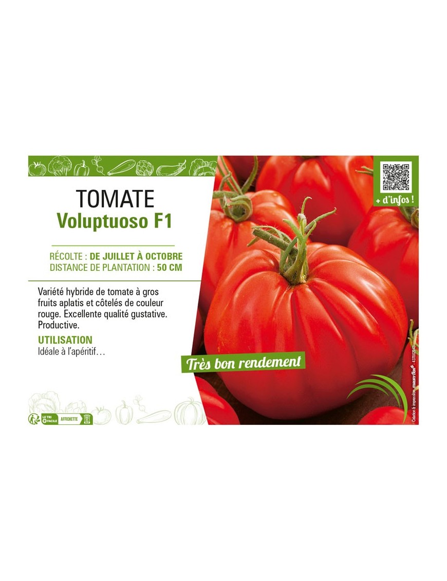 TOMATE VOLUPTUOSO F1