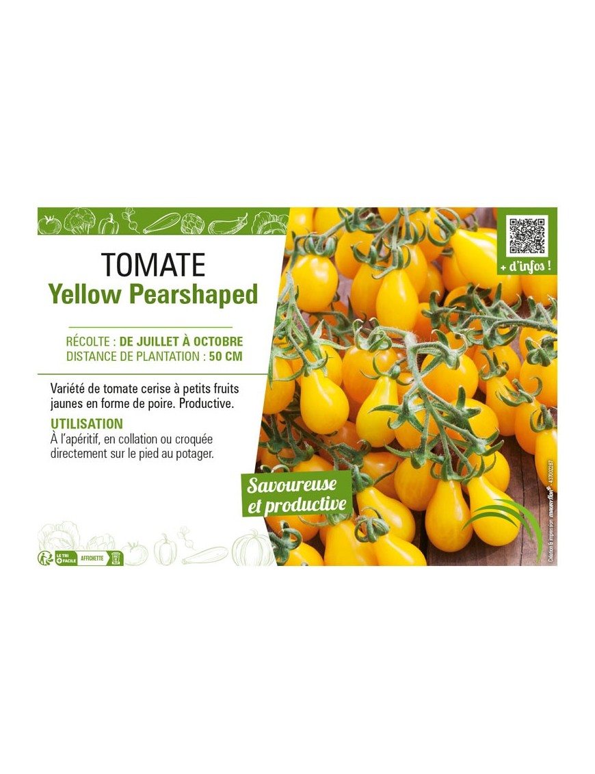 TOMATE YELLOW PEARSHAPED