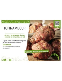 TOPINAMBOUR