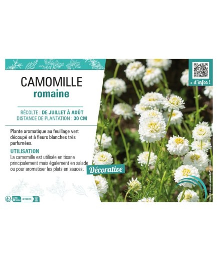 CAMOMILLE ROMAINE
