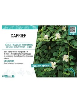 CAPRIER