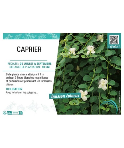 CAPRIER