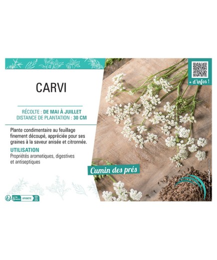 CARVI