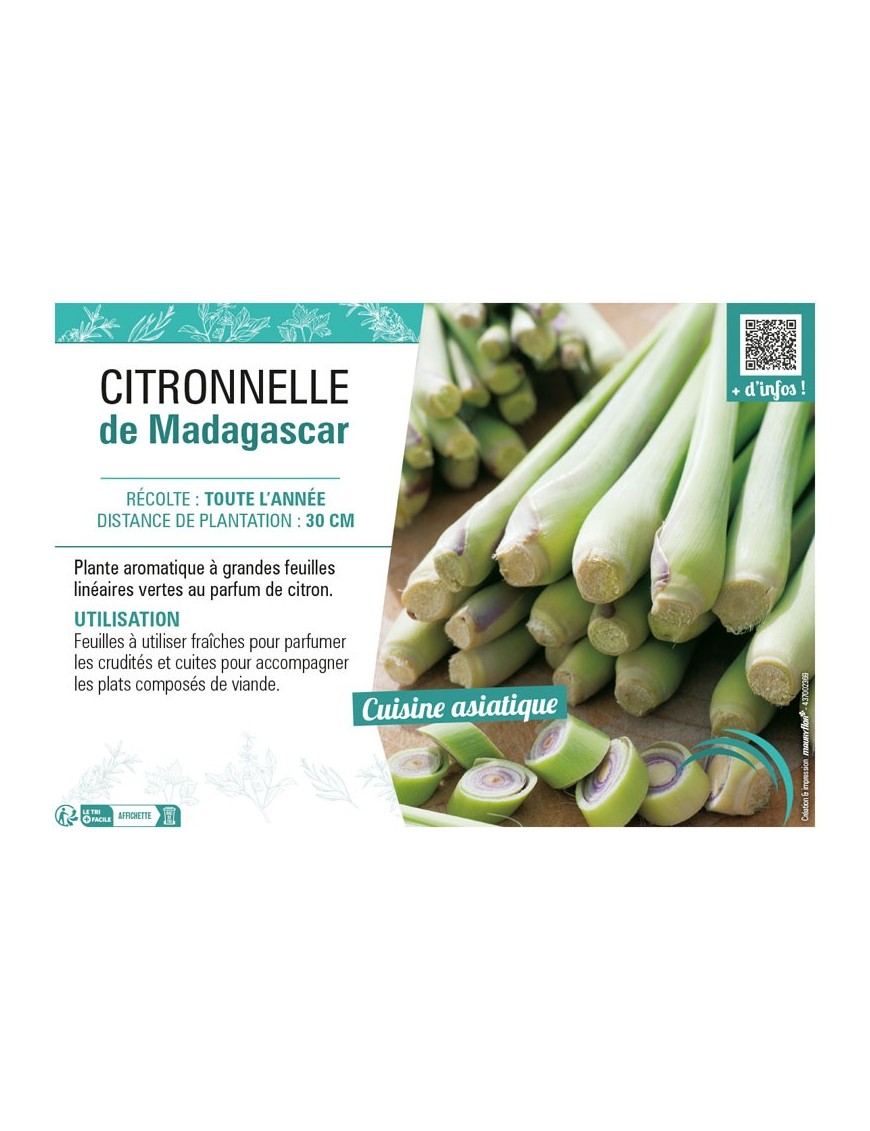 CITRONELLE DE MADAGASCAR