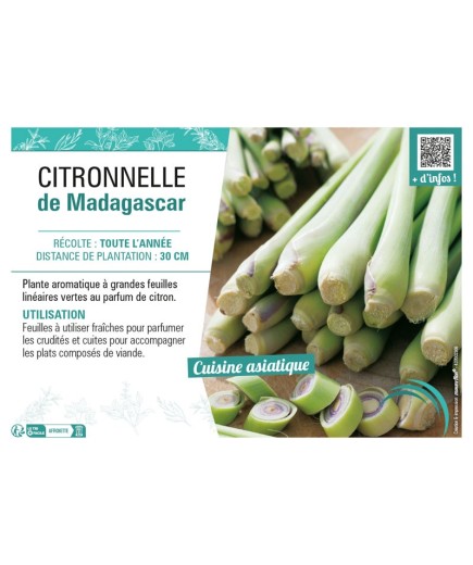 CITRONELLE DE MADAGASCAR