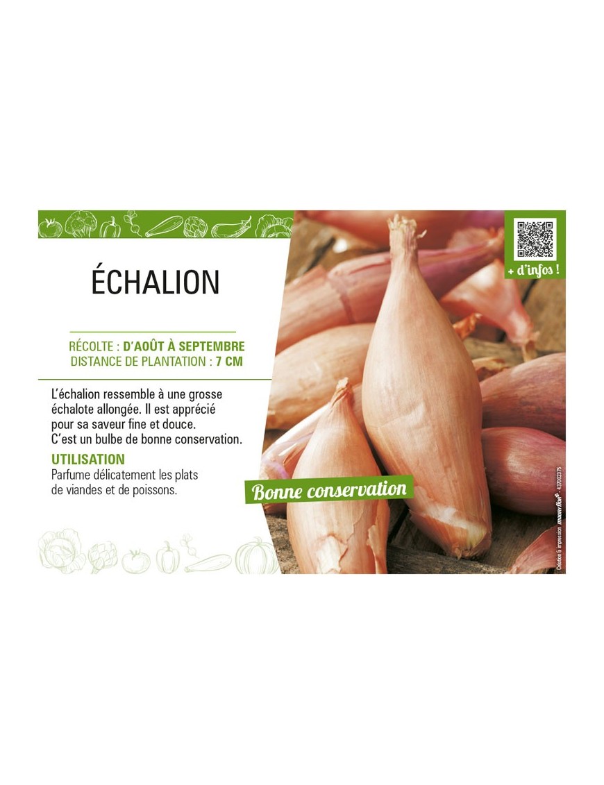 ÉCHALION
