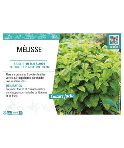 MÉLISSE