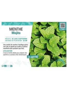 MENTHE MOJITO