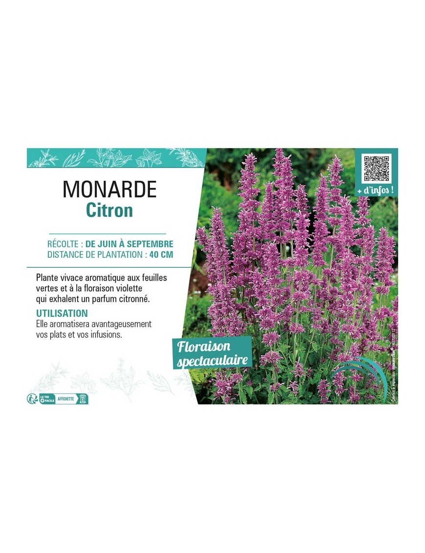 MONARDE CITRON