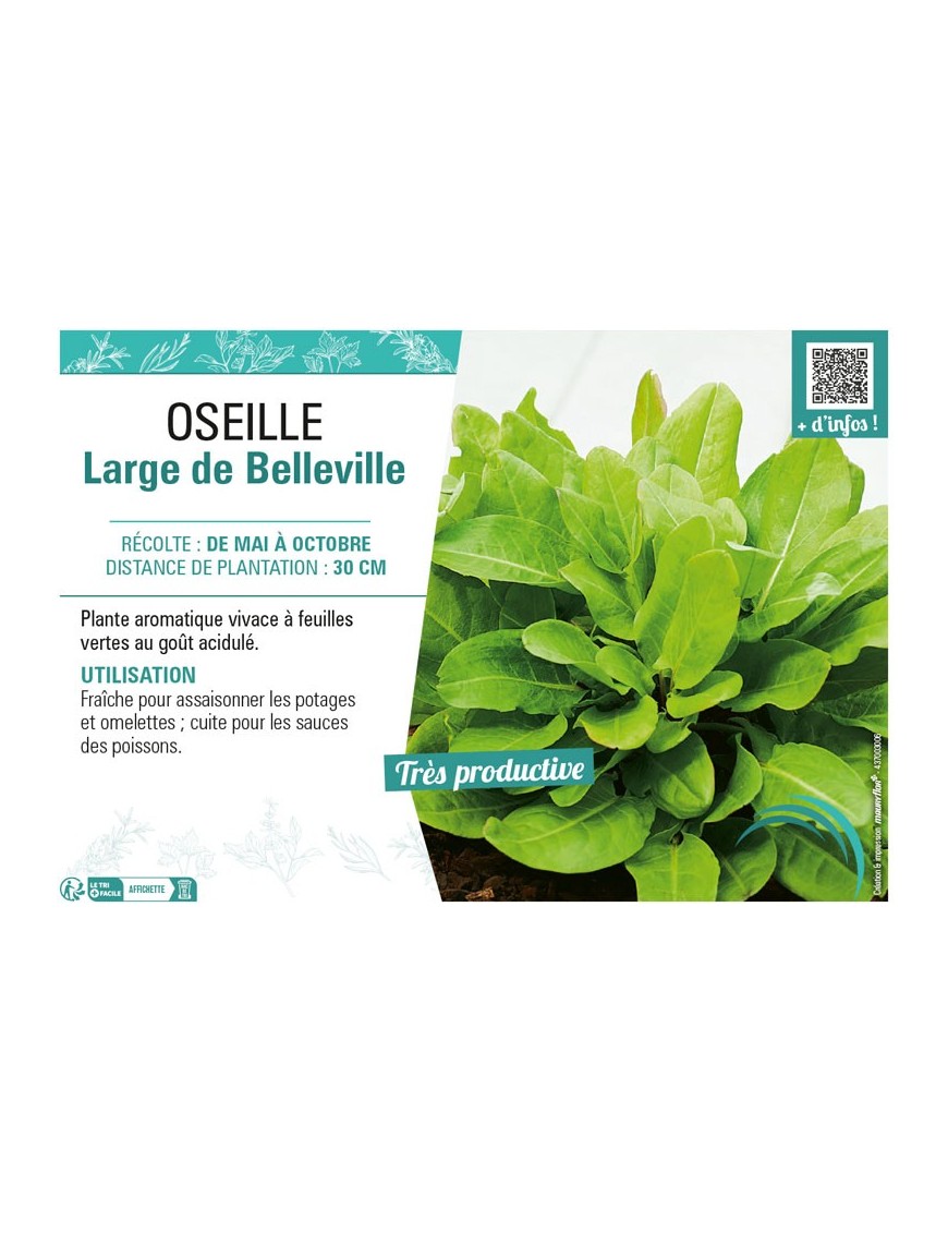 OSEILLE LARGE DE BELLEVILLE