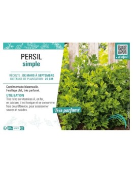 PERSIL SIMPLE