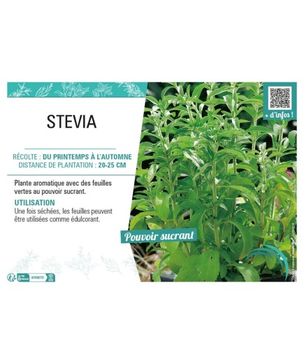 STEVIA