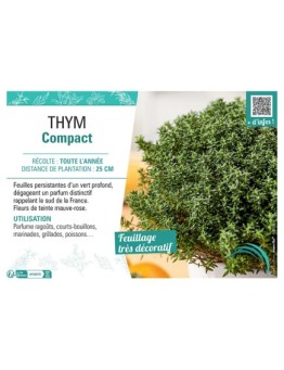 THYM COMPACT