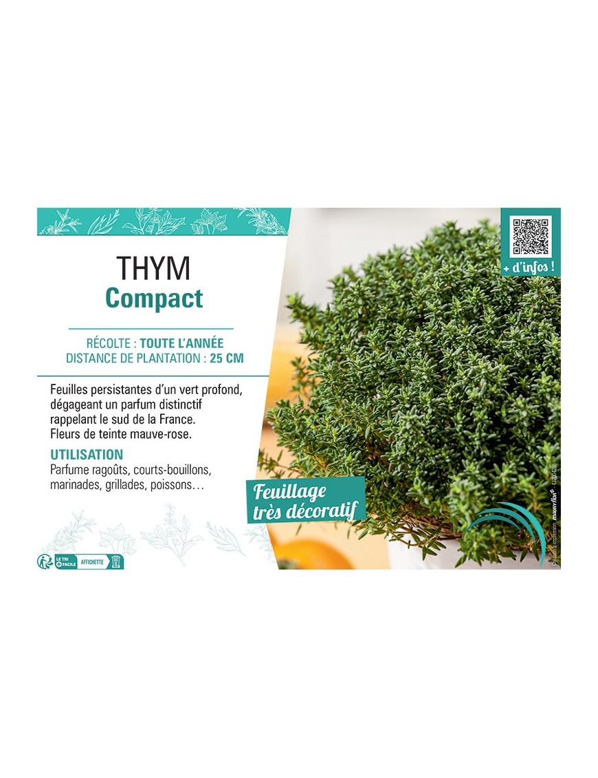 THYM COMPACT