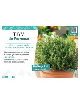 THYM DE PROVENCE