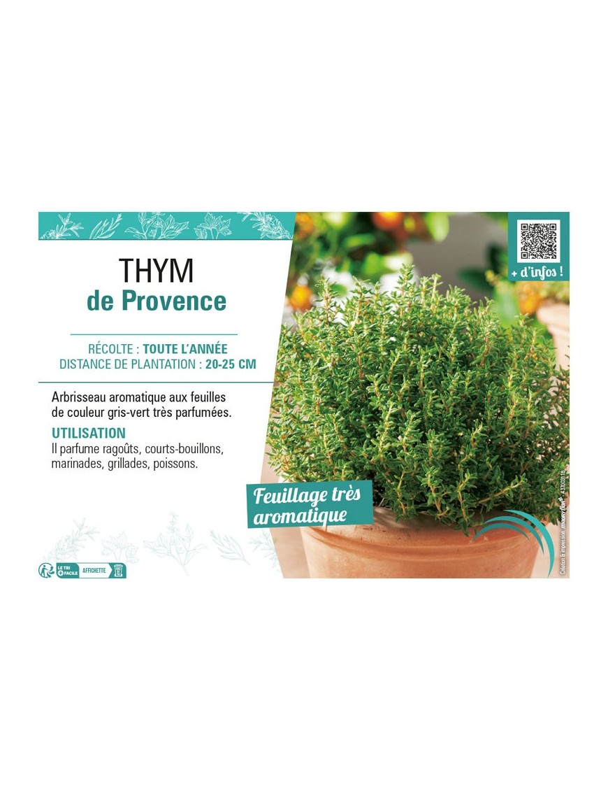THYM DE PROVENCE