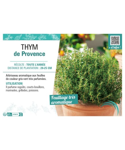 THYM DE PROVENCE