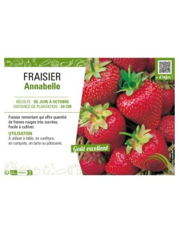 FRAISIER ANNABELLE