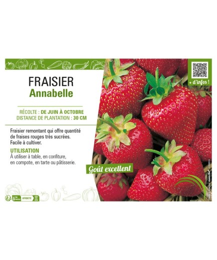 FRAISIER ANNABELLE