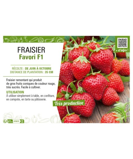 FRAISIER FAVORI F1