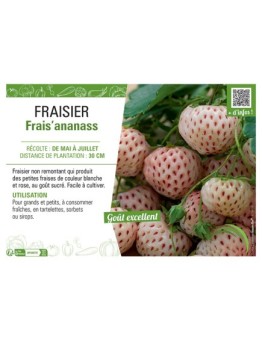 FRAIS'ANANASS