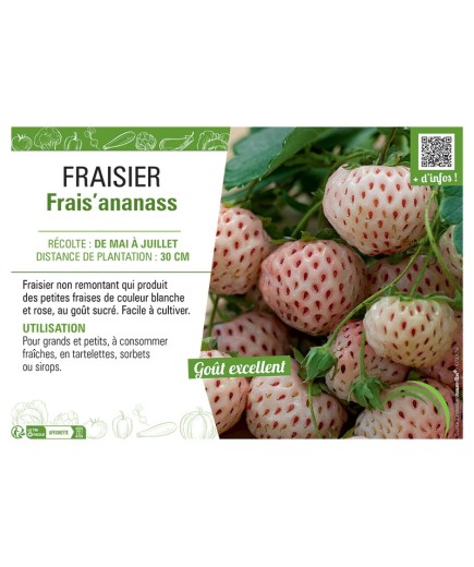 FRAIS'ANANASS
