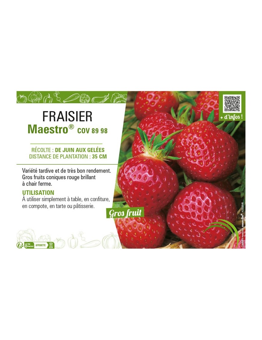 FRAISIER MAESTRO® COV 89 98