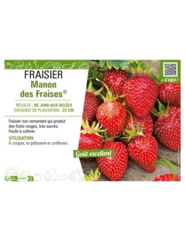 FRAISIER MANON DES FRAISES®