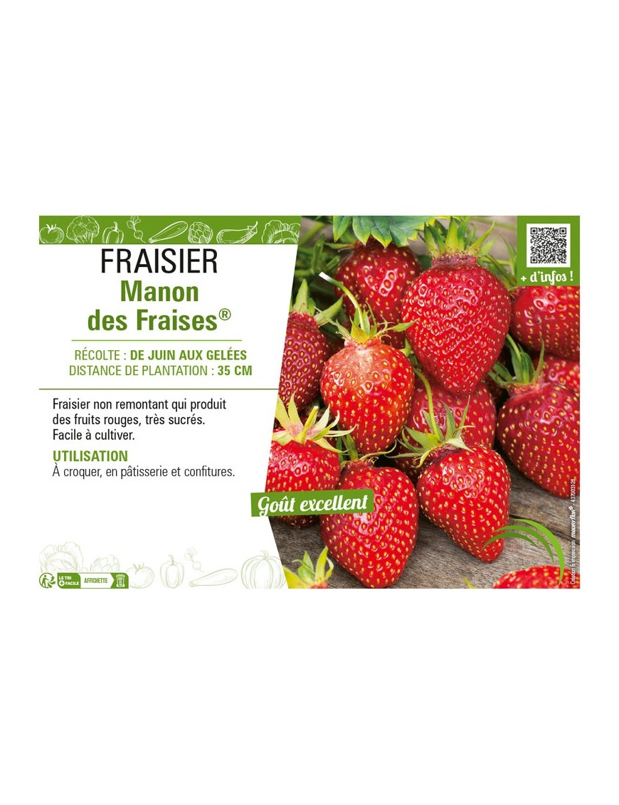 FRAISIER MANON DES FRAISES®
