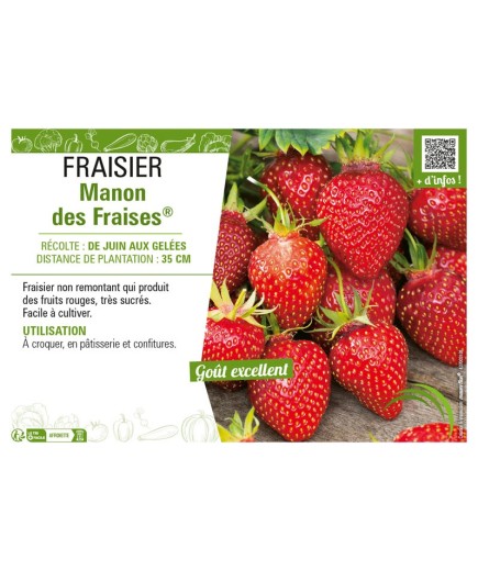FRAISIER MANON DES FRAISES®