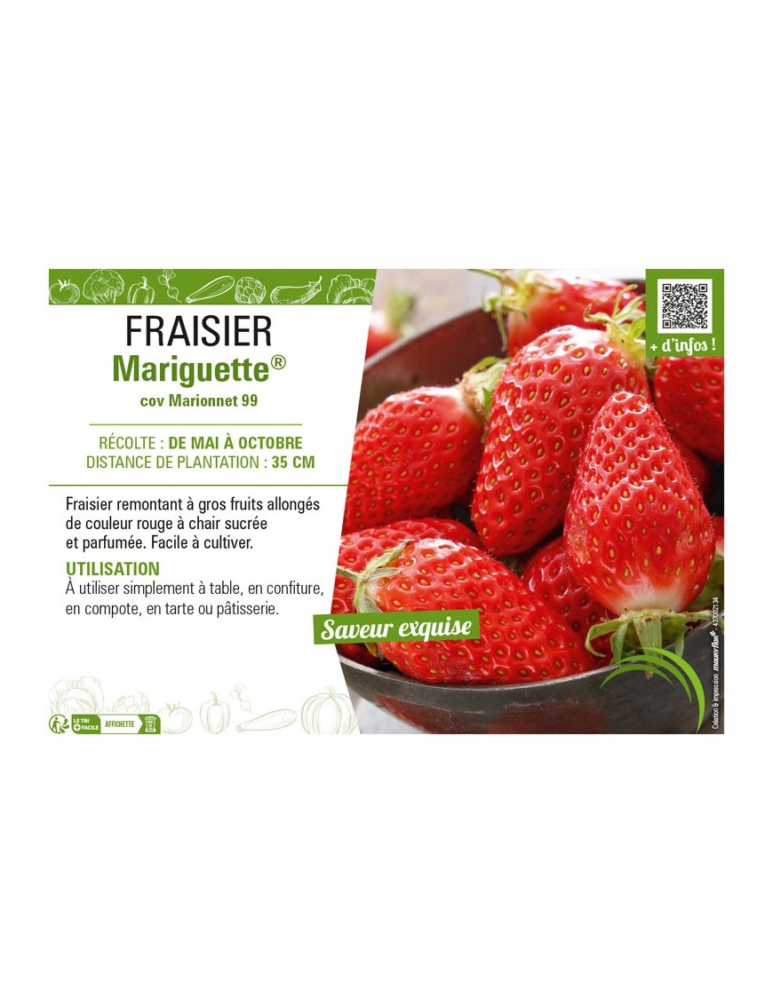 FRAISIER MARIGUETTE®
