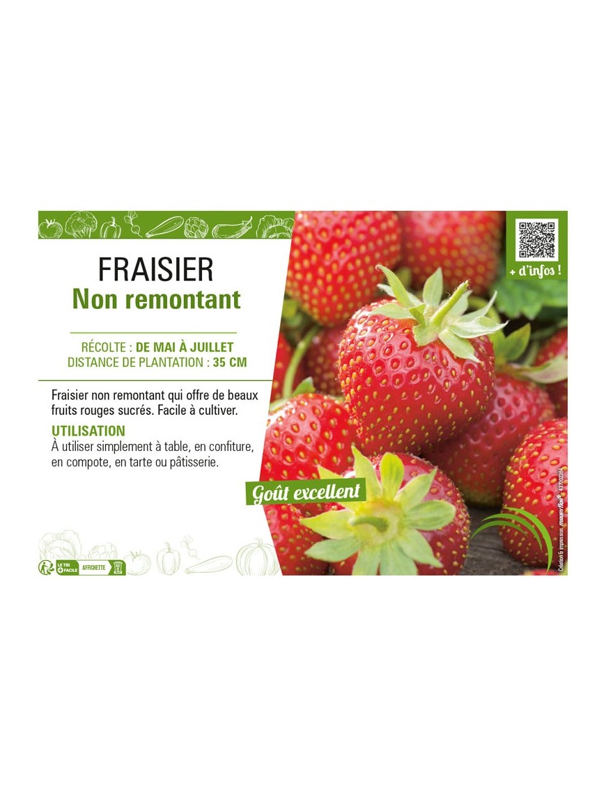 FRAISIER NON RETOMBANT