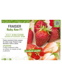FRAISIER RUBY ANN F1