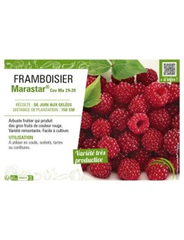 FRAMBOISIER MARASTAR®