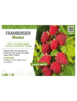 FRAMBOISIER MEEKER