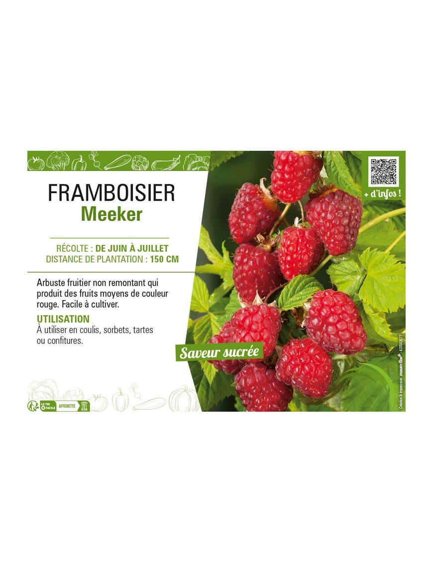 FRAMBOISIER MEEKER