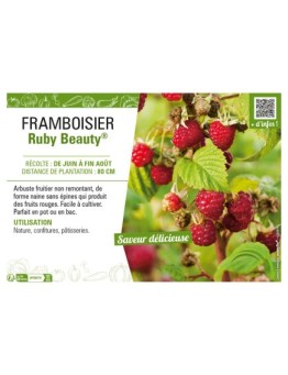 FRAMBOISIER RUBY BEAUTY®