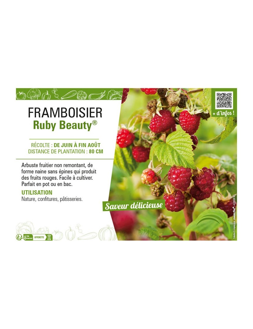 FRAMBOISIER RUBY BEAUTY®