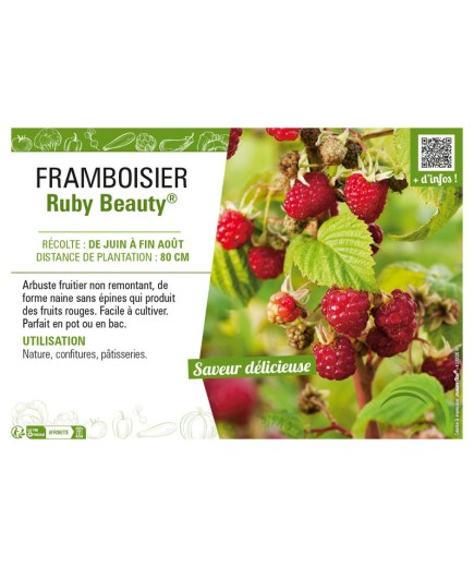 FRAMBOISIER RUBY BEAUTY®
