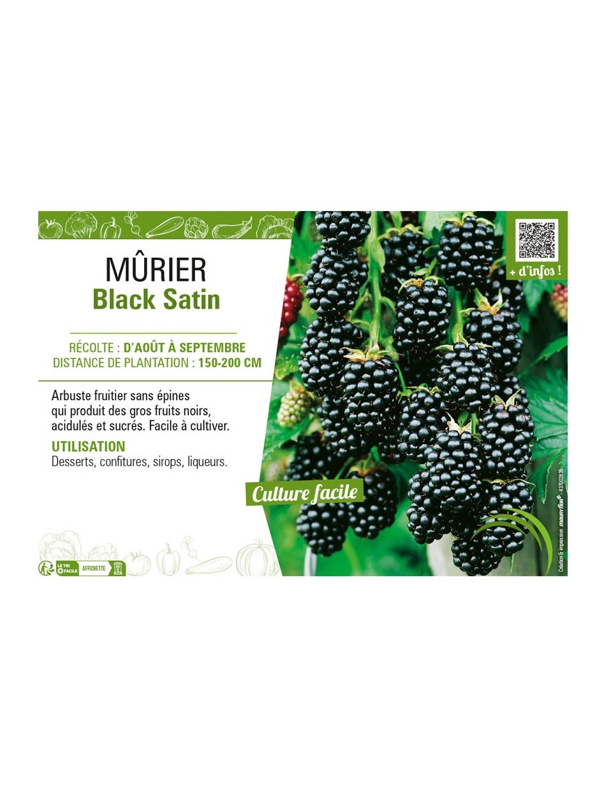 MÛRIER BLACK SATIN