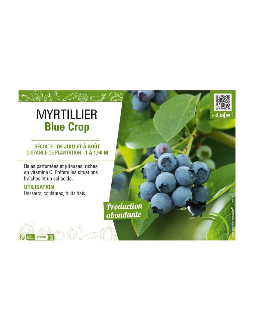 MYRTILLIER Blue Crop