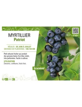 MYRTILLIER PATRIOT