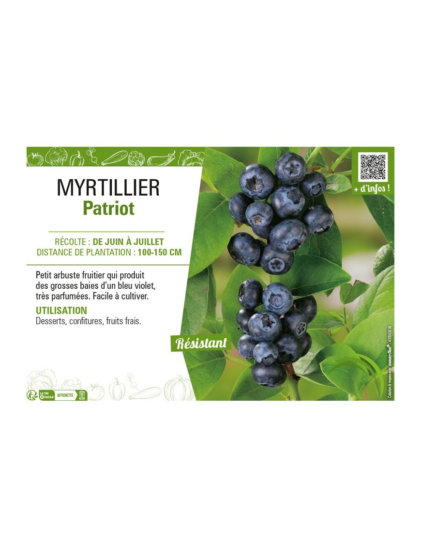 MYRTILLIER PATRIOT