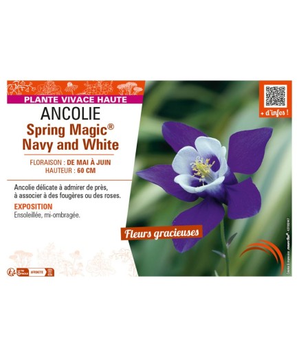 ANCOLIE SPRING MAGIC® NAVY AND WHITE