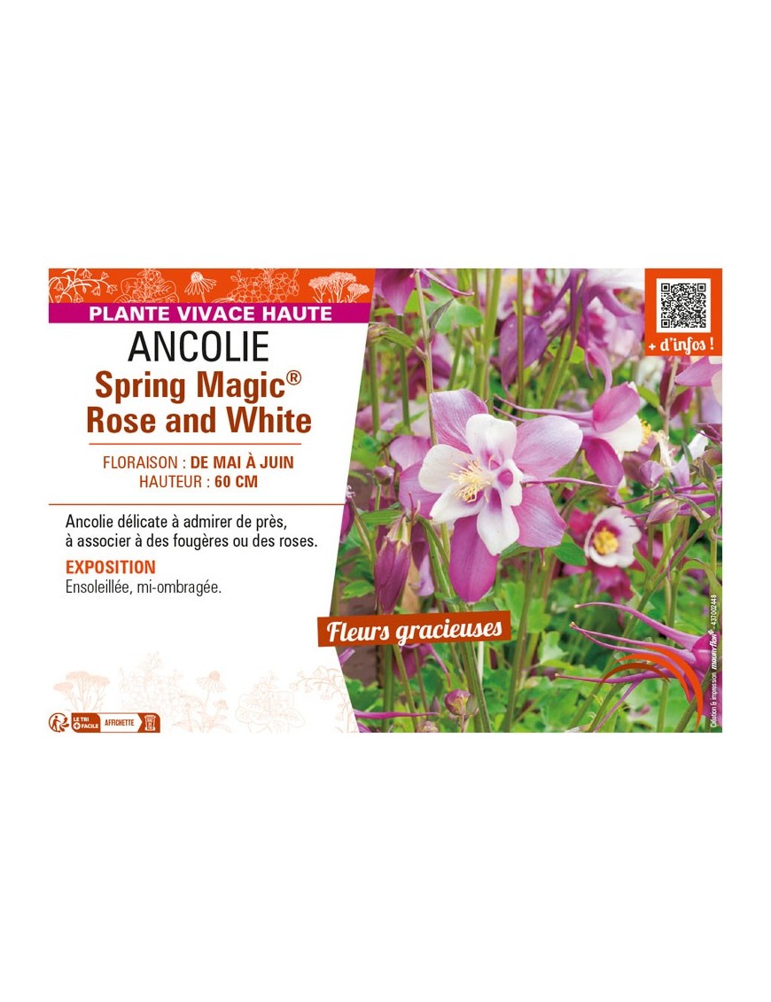 ANCOLIE SPRING MAGIC® ROSE AND WHITE