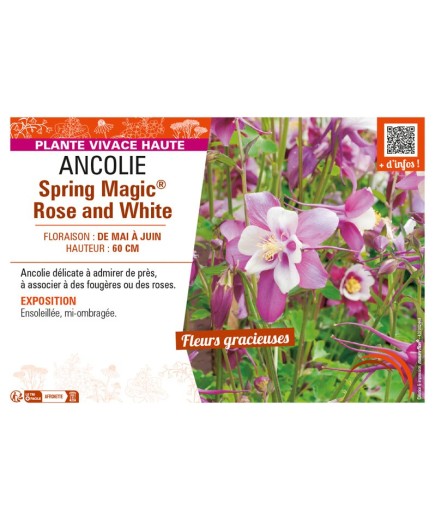 ANCOLIE SPRING MAGIC® ROSE AND WHITE