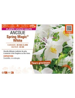 ANCOLIE SPRING MAGIC® WHITE
