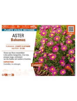 ASTER BAHAMAS