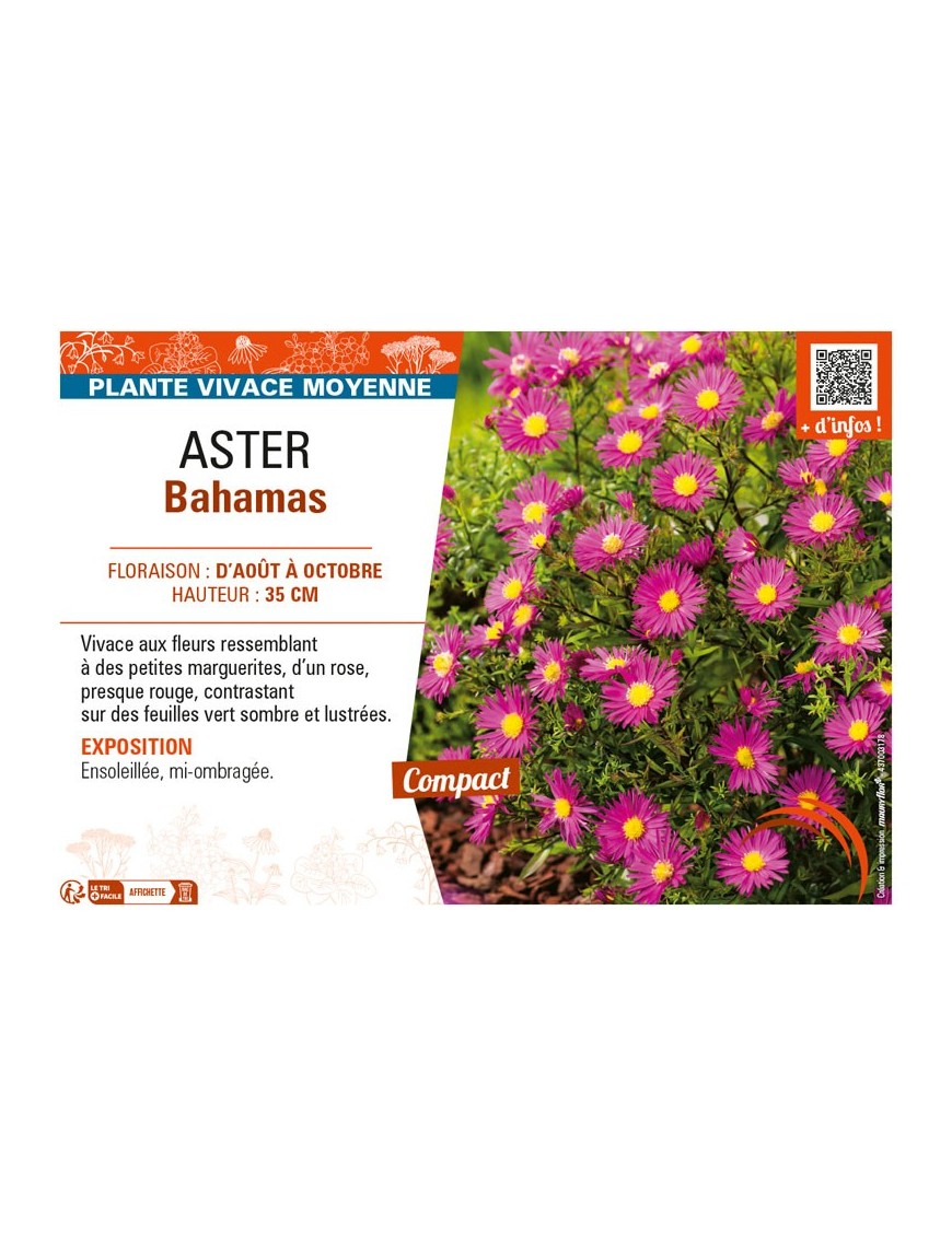 ASTER BAHAMAS